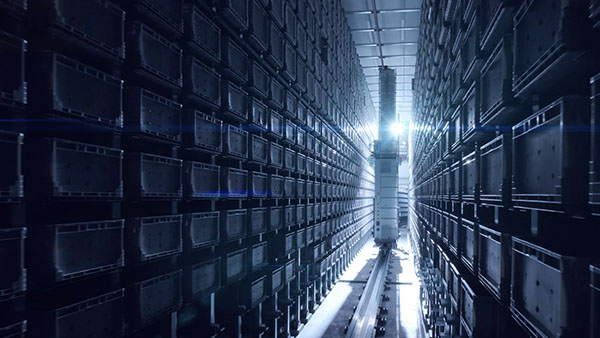 Prípadová štúdia video marketing